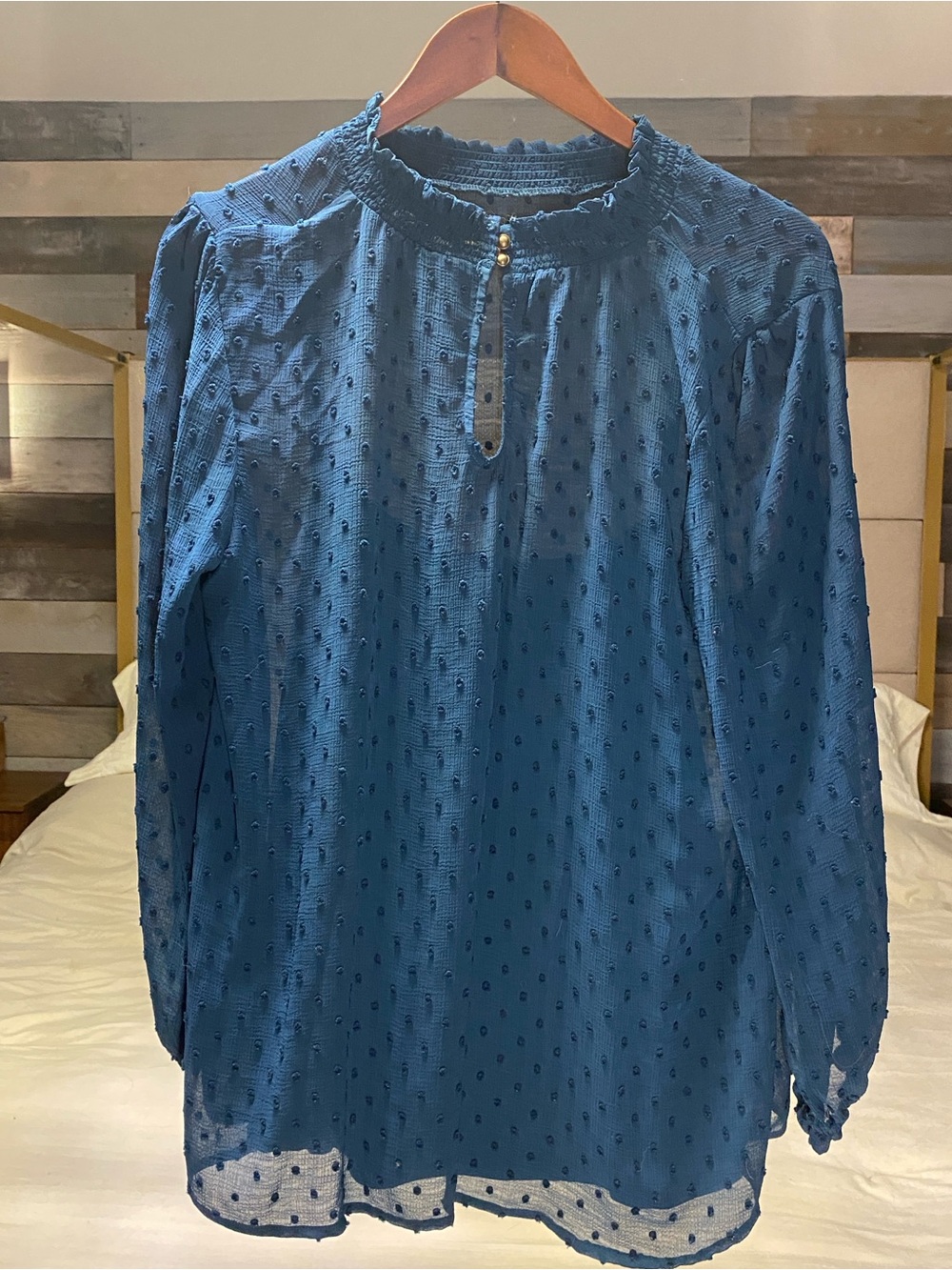 LUQ Blue Swiss Dot Sheer Long Sleeve Blouse XL